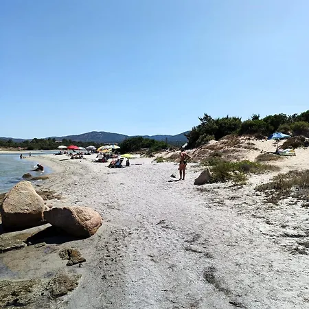 Domo De Centro, Centro Di