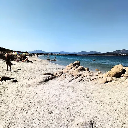 Domo De Centro, Centro Di Гостьовий будинок Ольбія