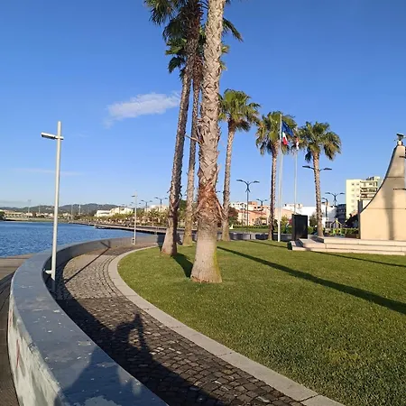 Domo De Centro, Centro Di Ольбія