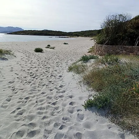 Domo De Centro, Centro Di