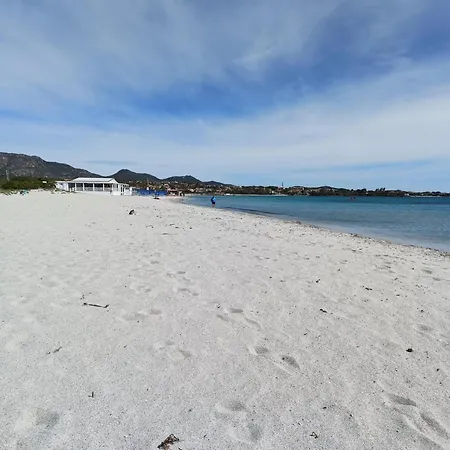 Domo De Centro, Centro Di Ольбія