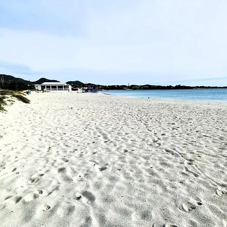 Domo De Centro, Centro Di 3* Ольбія