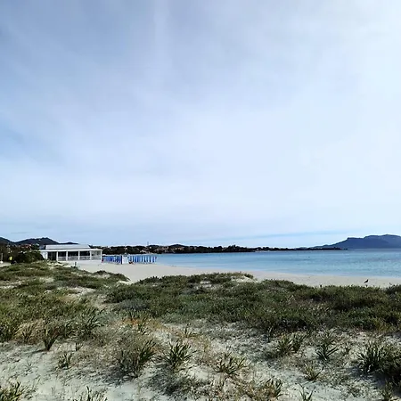 Гостьовий будинок Domo De Centro, Centro Di Ольбія