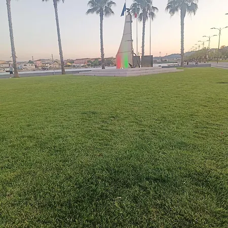 Domo De Centro, Centro Di Ольбія