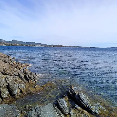 Domo De Centro, Centro Di * Olbia