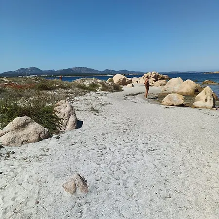 Domo De Centro, Centro Di