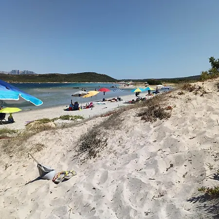 Гостьовий будинок Domo De Centro, Centro Di 3*