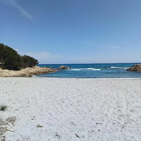 Domo De Centro, Centro Di Ольбія