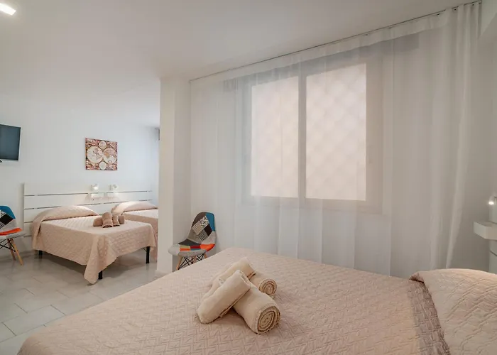 Domo De Centro, Centro Di Olbia