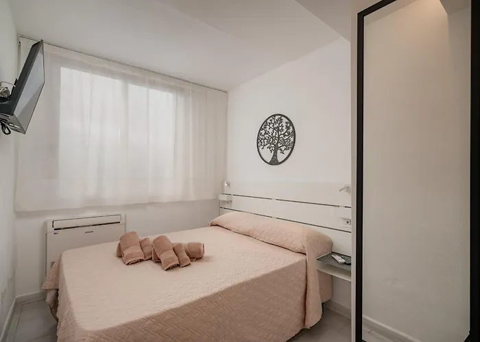 Domo De Centro, Centro Di