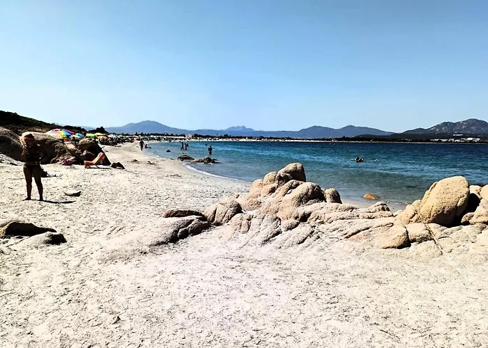 Domo De Centro, Centro Di Vendégház Olbia