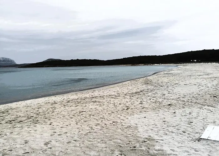 Vendégház Domo De Centro, Centro Di Olbia