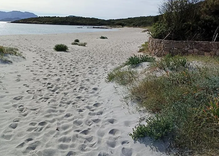 Domo De Centro, Centro Di