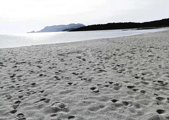 Domo De Centro, Centro Di Vendégház 3*