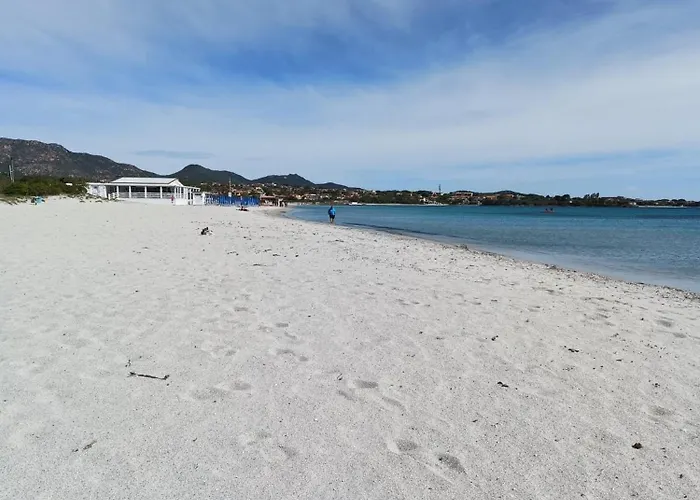 Domo De Centro, Centro Di Olbia