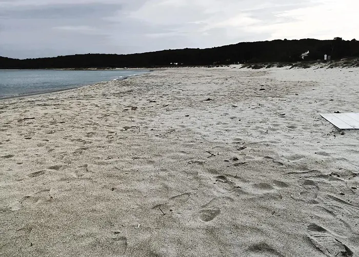 Domo De Centro, Centro Di Vendégház