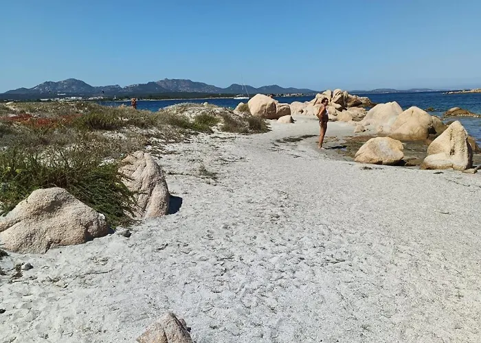 Domo De Centro, Centro Di