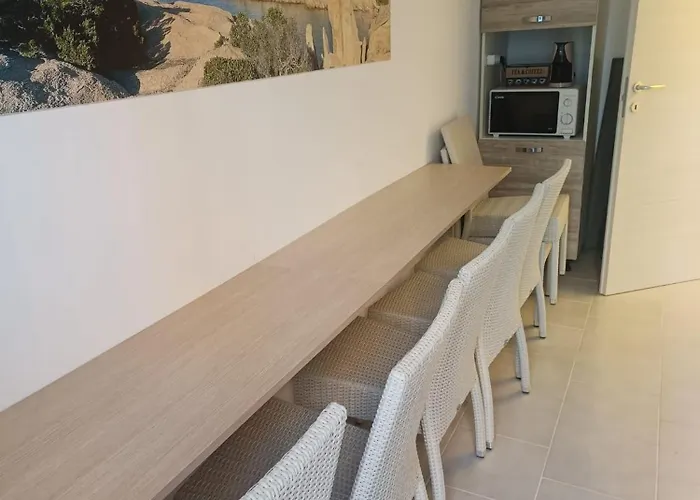 Domo De Centro, Centro Di Olbia